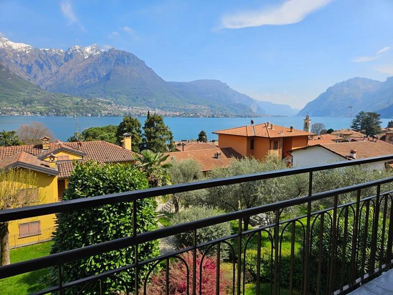 Is Your - Il E Tuo Oliveto Lario